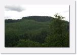 PICT2767 * Wald ohne Ende * 612 x 410 * (37KB)