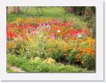 100_0065 * der Sommer und Seine Blumenpracht * 612 x 462 * (75KB)