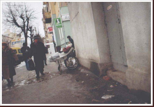 Klicken Sie auf das Bild, um es zu vergrößern