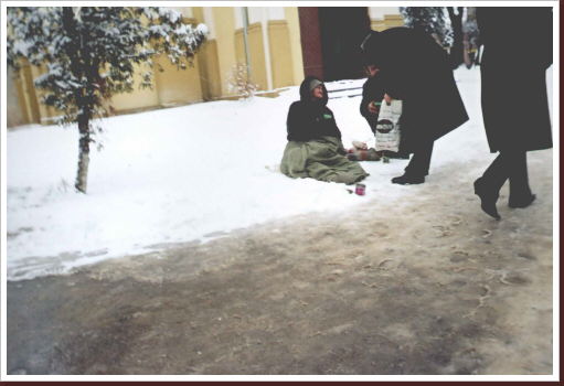 Klicken Sie auf das Bild, um es zu vergrößern