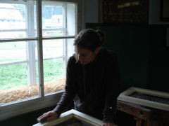 Klicken Sie auf das Bild, um es zu vergrößern