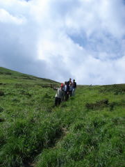 Klicken Sie auf das Bild, um es zu vergrößern