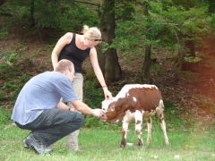 Klicken Sie auf das Bild, um es zu vergrößern