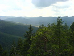 Klicken Sie auf das Bild, um es zu vergrößern