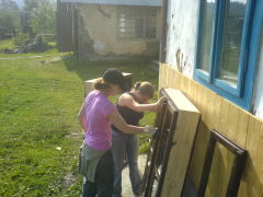 Klicken Sie auf das Bild, um es zu vergrößern