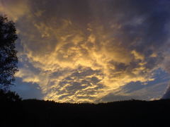 Klicken Sie auf das Bild, um es zu vergrößern