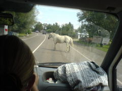 Klicken Sie auf das Bild, um es zu vergrößern